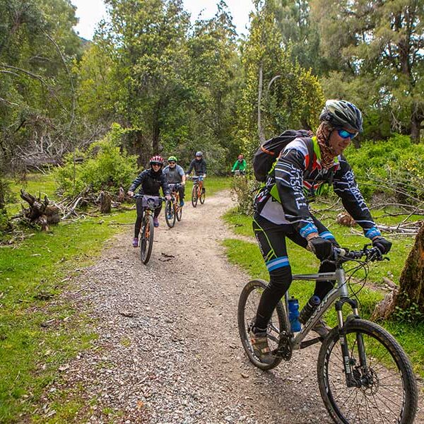 Mates – Travel Company